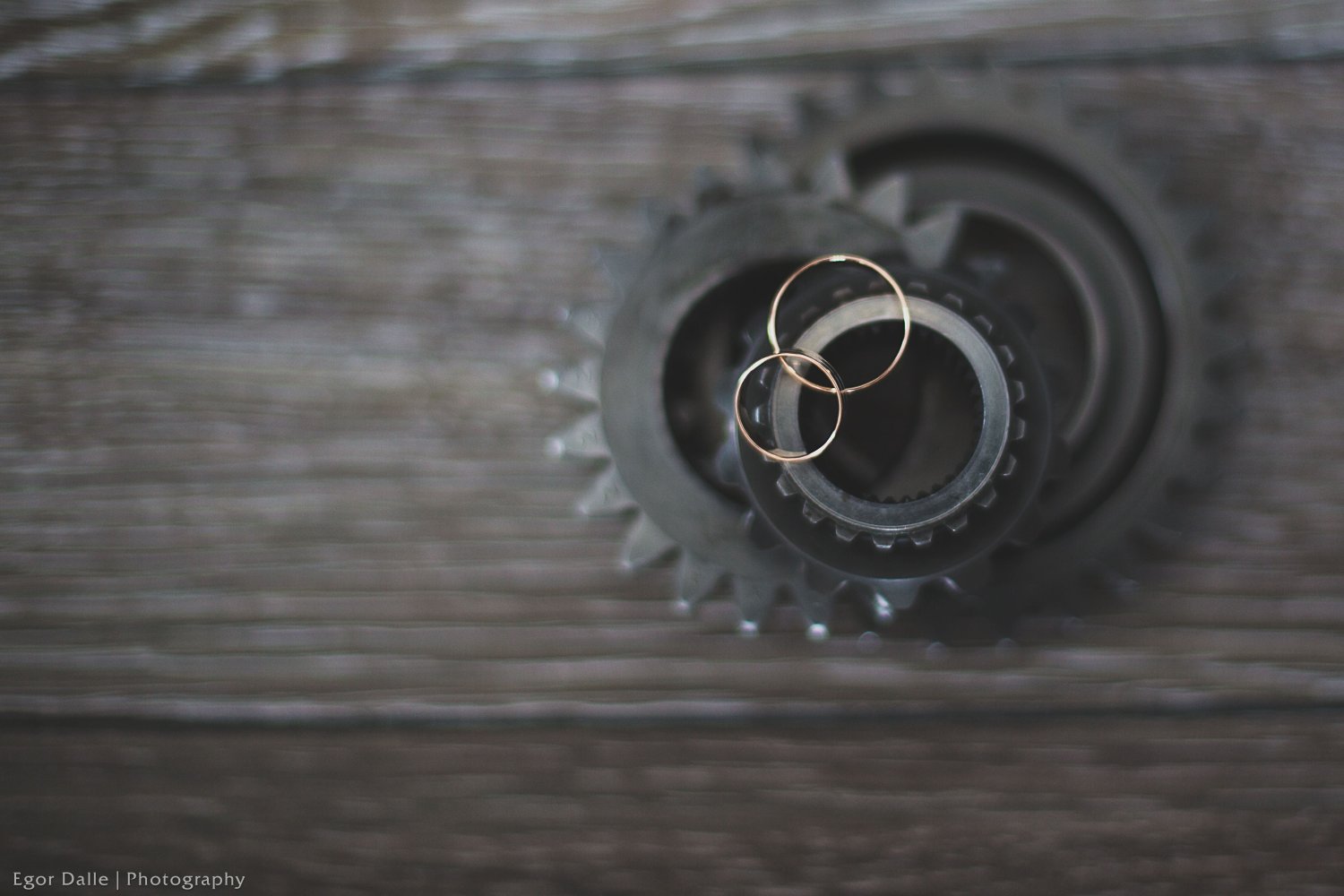 Портфолио&nbsp;Егор Даль : 