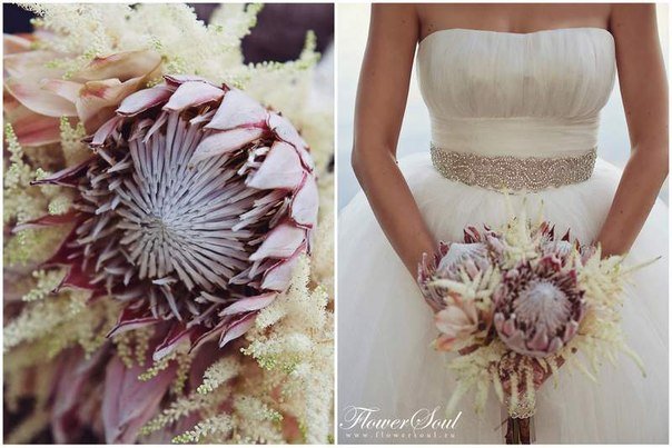 Свадебная флористика и декор&nbsp;Студия флористики и декора FLOWERSOUL : 