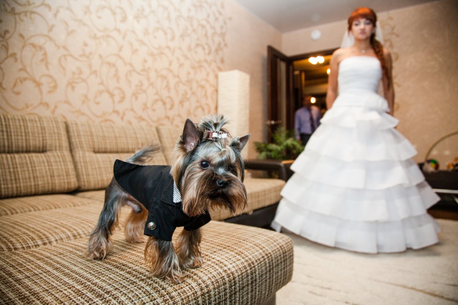 Съемка свадьбы от Video67.ru&nbsp;Выездная регистрация от VIDEO67.RU : 