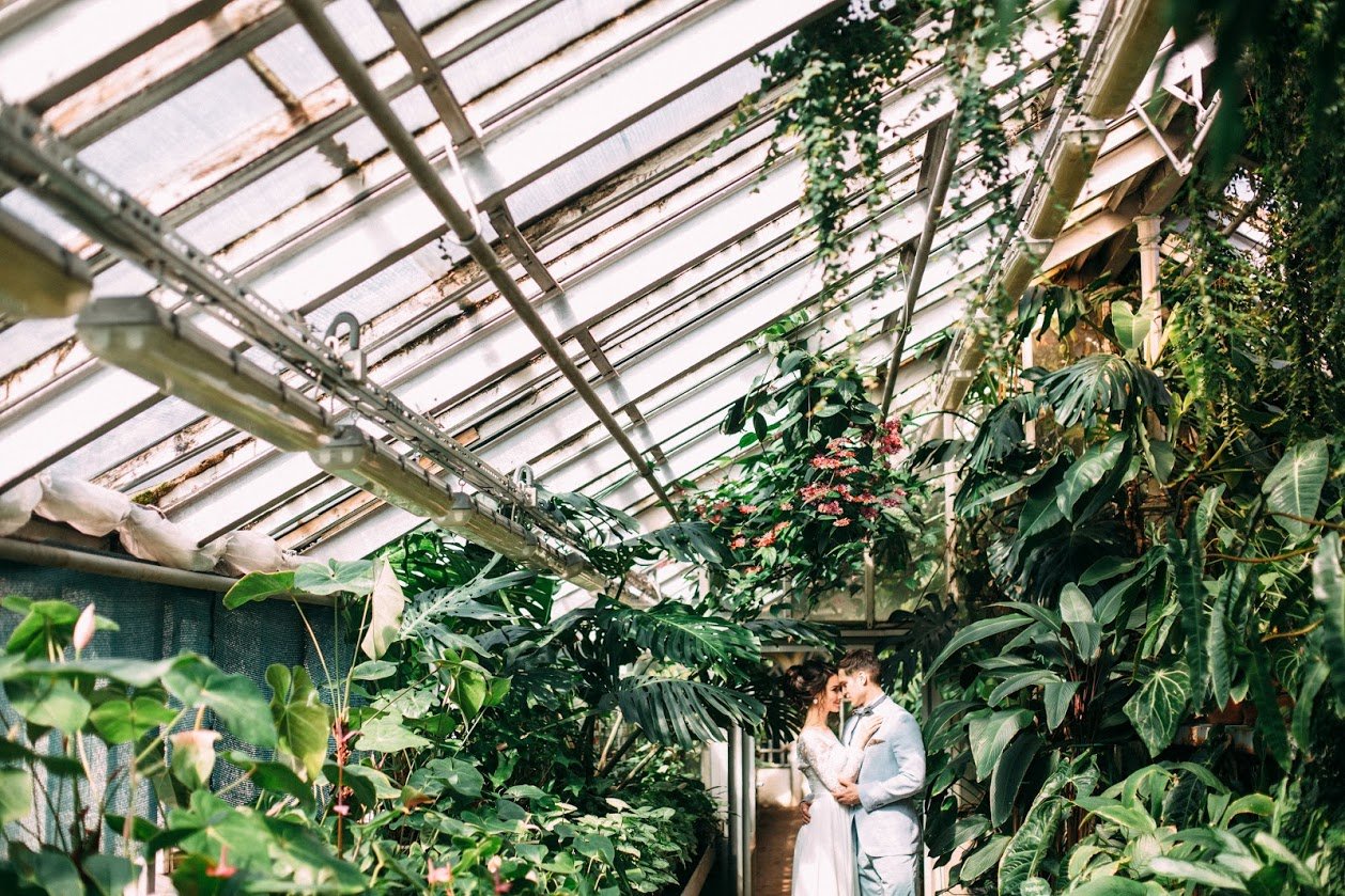 Портфолио&nbsp;Skazka project Свадебное агентство : 