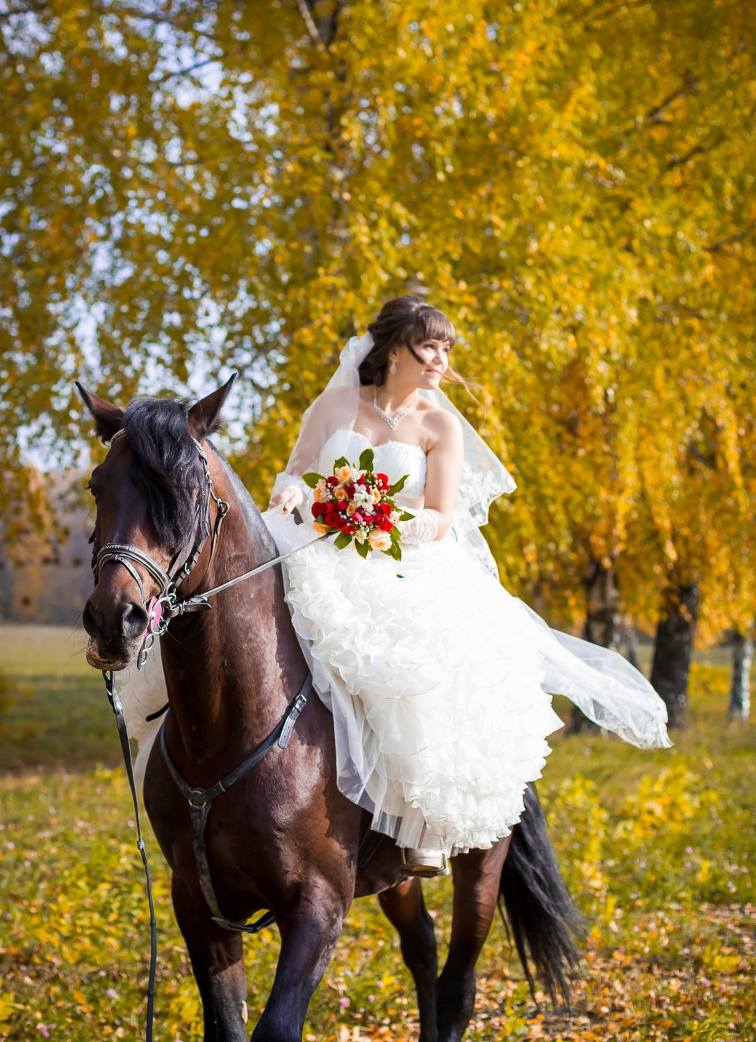 свадьба&nbsp;студия фото-видеосъемки : 