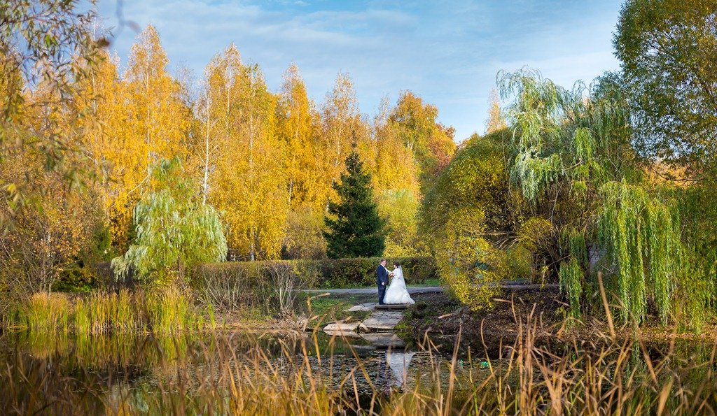 свадьба&nbsp;студия фото-видеосъемки : 