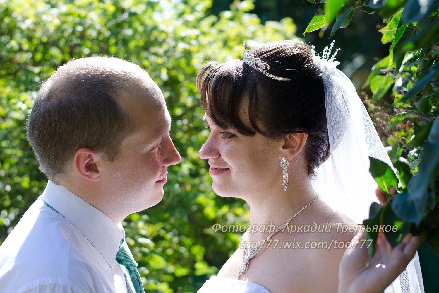 Портфолио&nbsp;Аркадий Третьяков : 