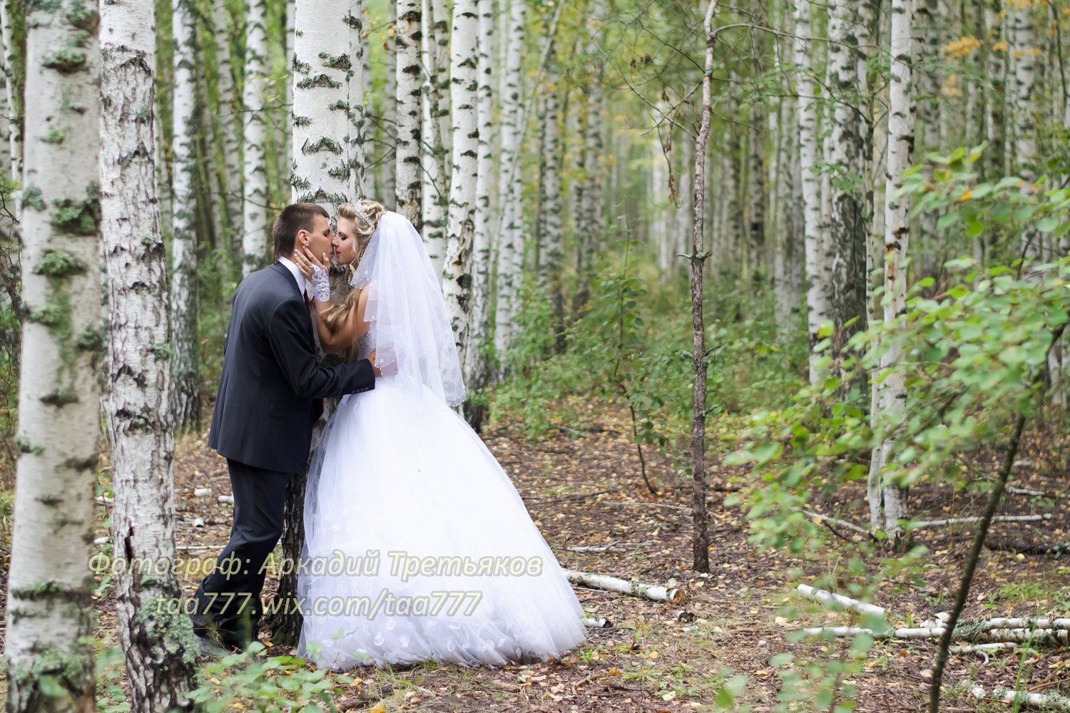 Портфолио&nbsp;Аркадий Третьяков : 