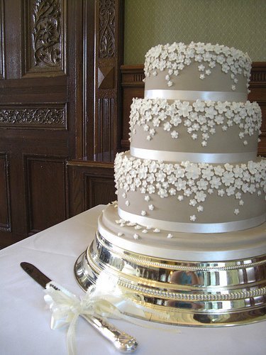 Фотоальбом&nbsp;Торт на заказ : 