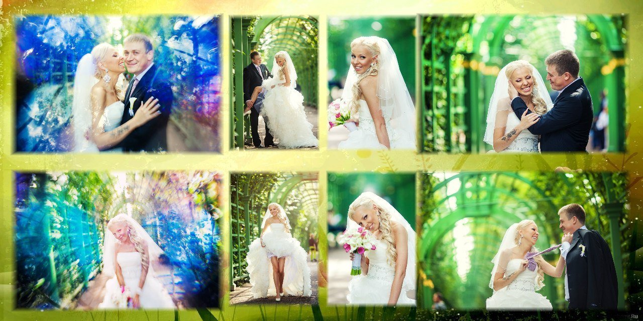 Свадьбы&nbsp;Свадебный видеооператор Михайлов Сергей : 