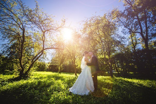Свадьбы&nbsp;Свадебный видеооператор Михайлов Сергей : 