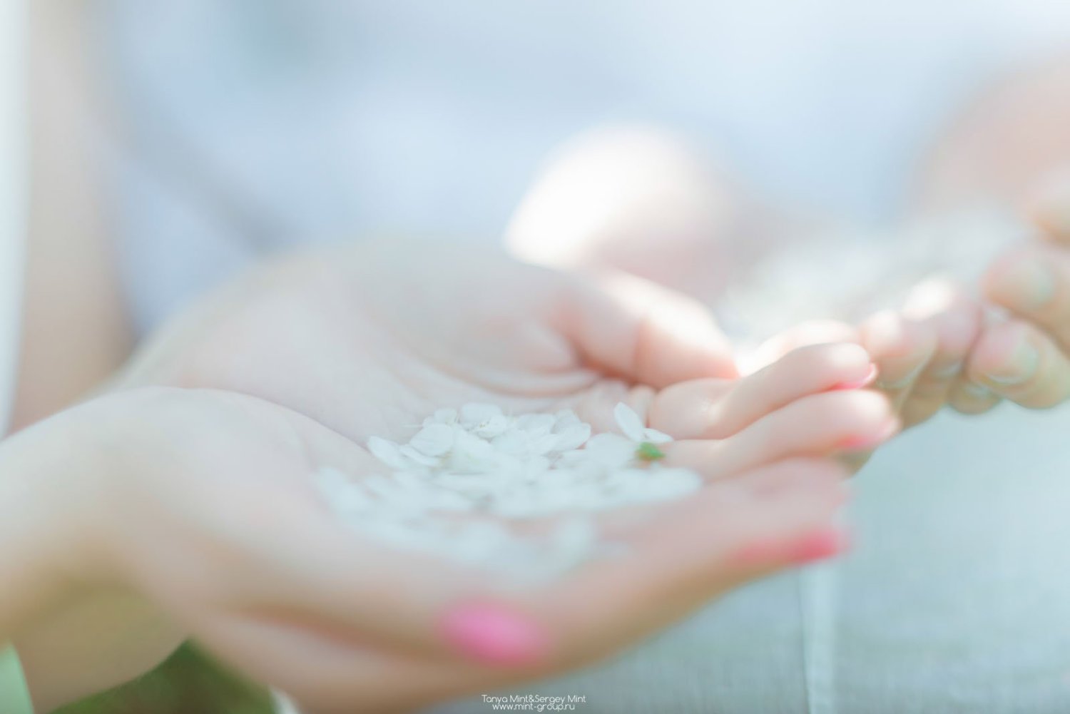 Андрей+Юля&nbsp;Таня Минт : 