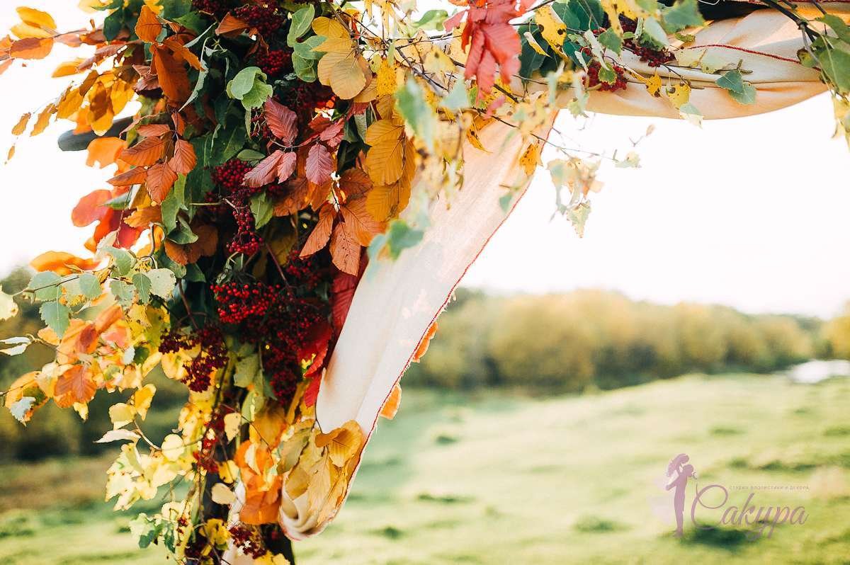 Выездная церемония&nbsp;Студия флористики и декора "Сакура" : 