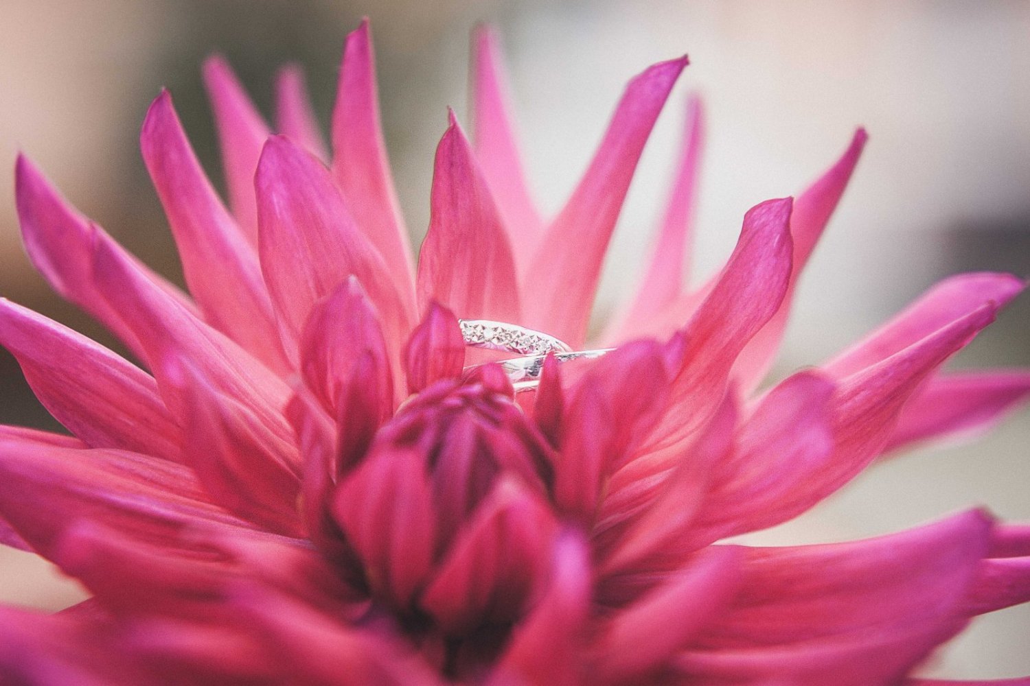 Wedding Day&nbsp;Мариша Тарасова : 