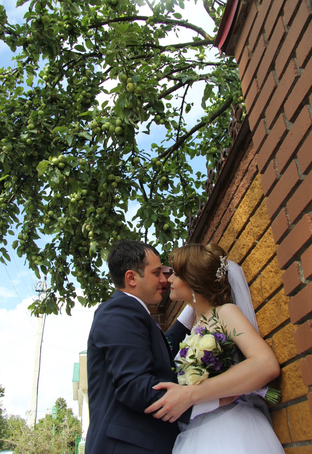 Дмитрий и Вероника&nbsp;Андрей Митичев : 