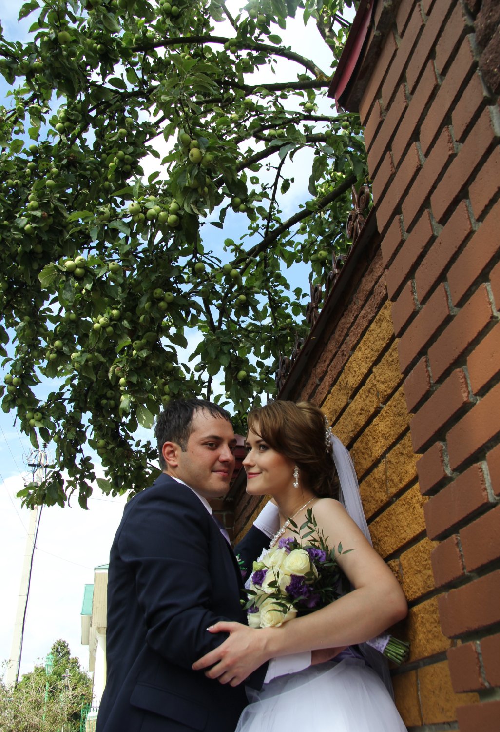 Дмитрий и Вероника&nbsp;Андрей Митичев : 