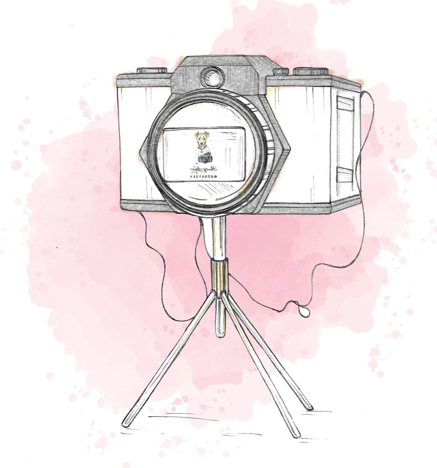 Фотобудка Party Star&nbsp;Фотобудка Party Star : 