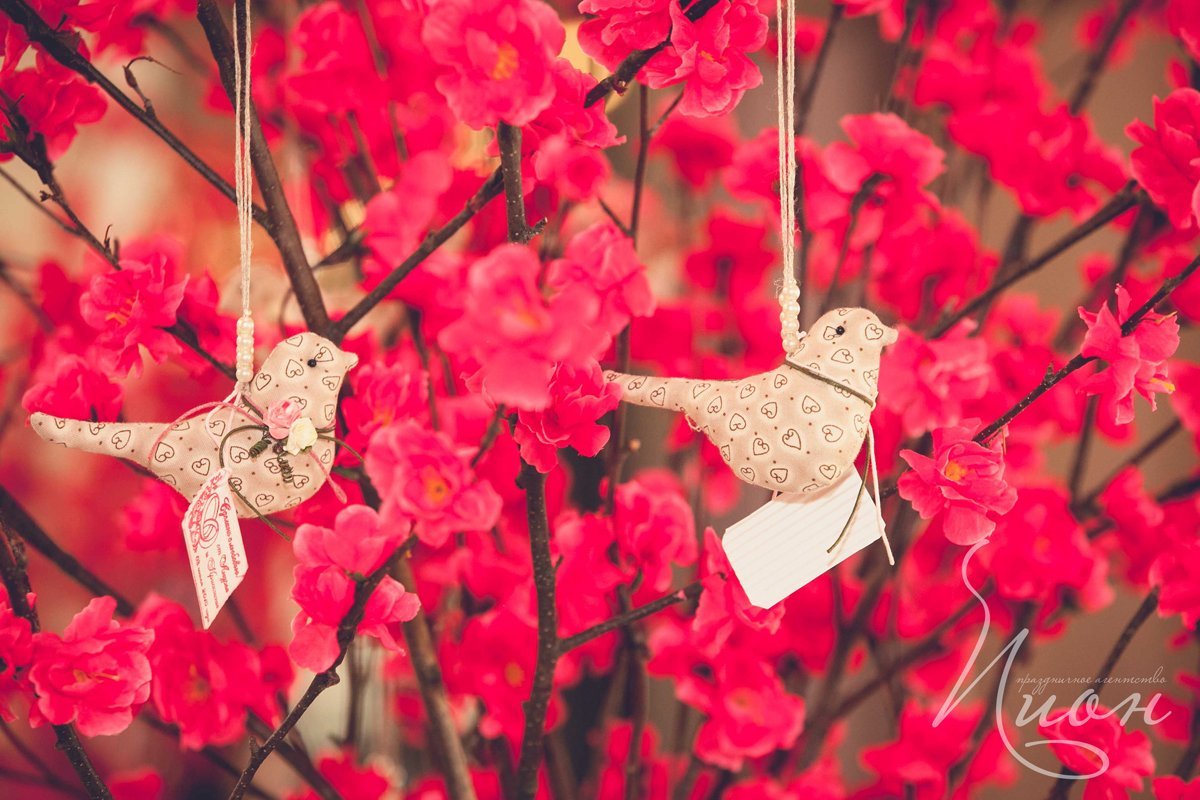 Свадьба в Артиленде Андрея и Кристины, 2 день&nbsp;Праздничное агентство ПИОН : 