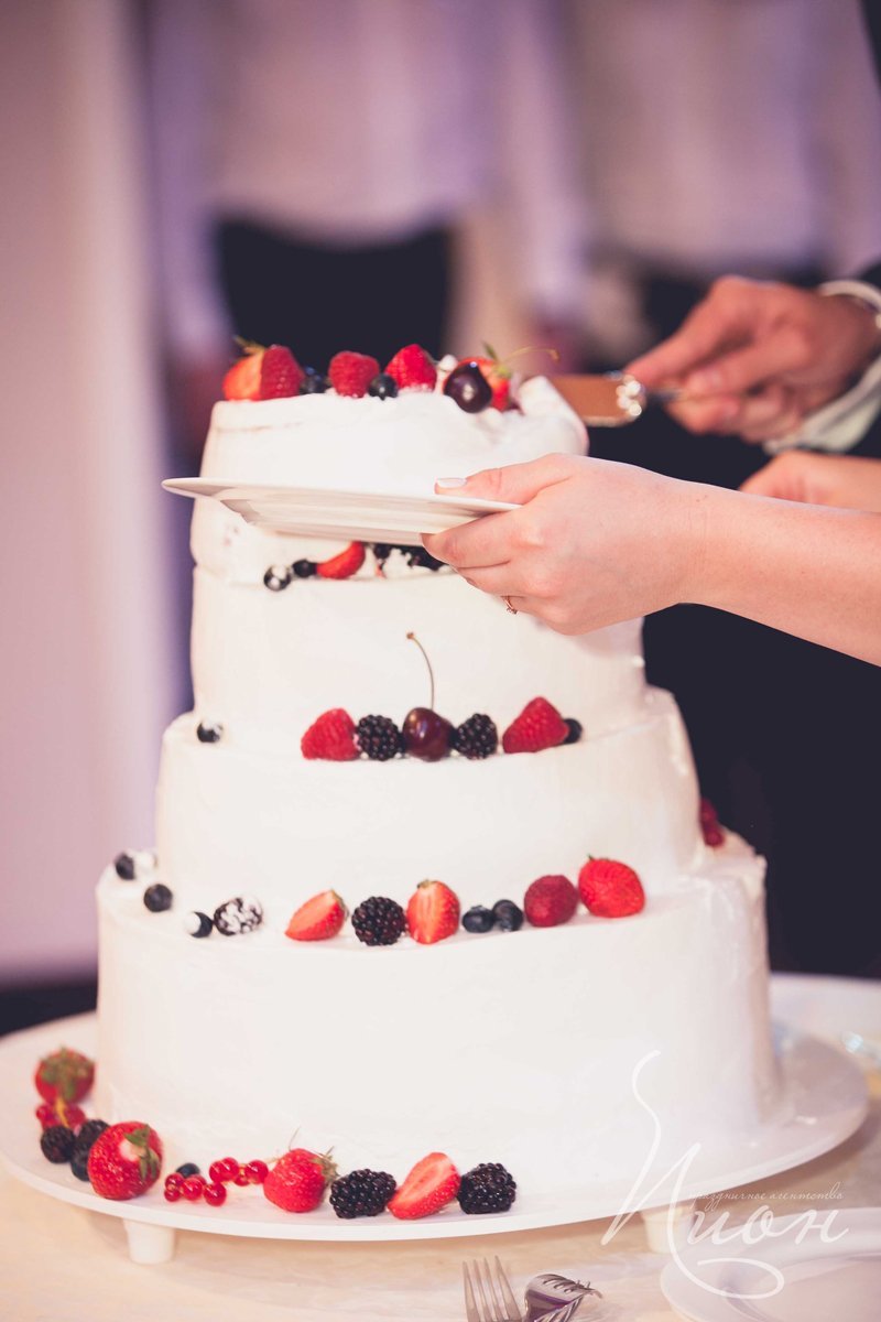 Свадьба в Артиленде Андрея и Кристины, 2 день&nbsp;Праздничное агентство ПИОН : 