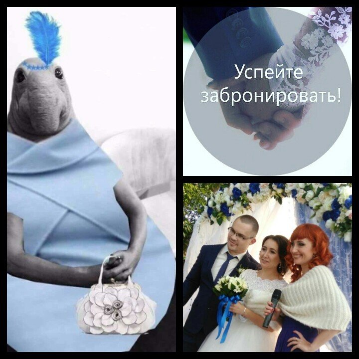Праздники под ключ Лизы Горбачёвой&nbsp;Лиза Горбачёва : 