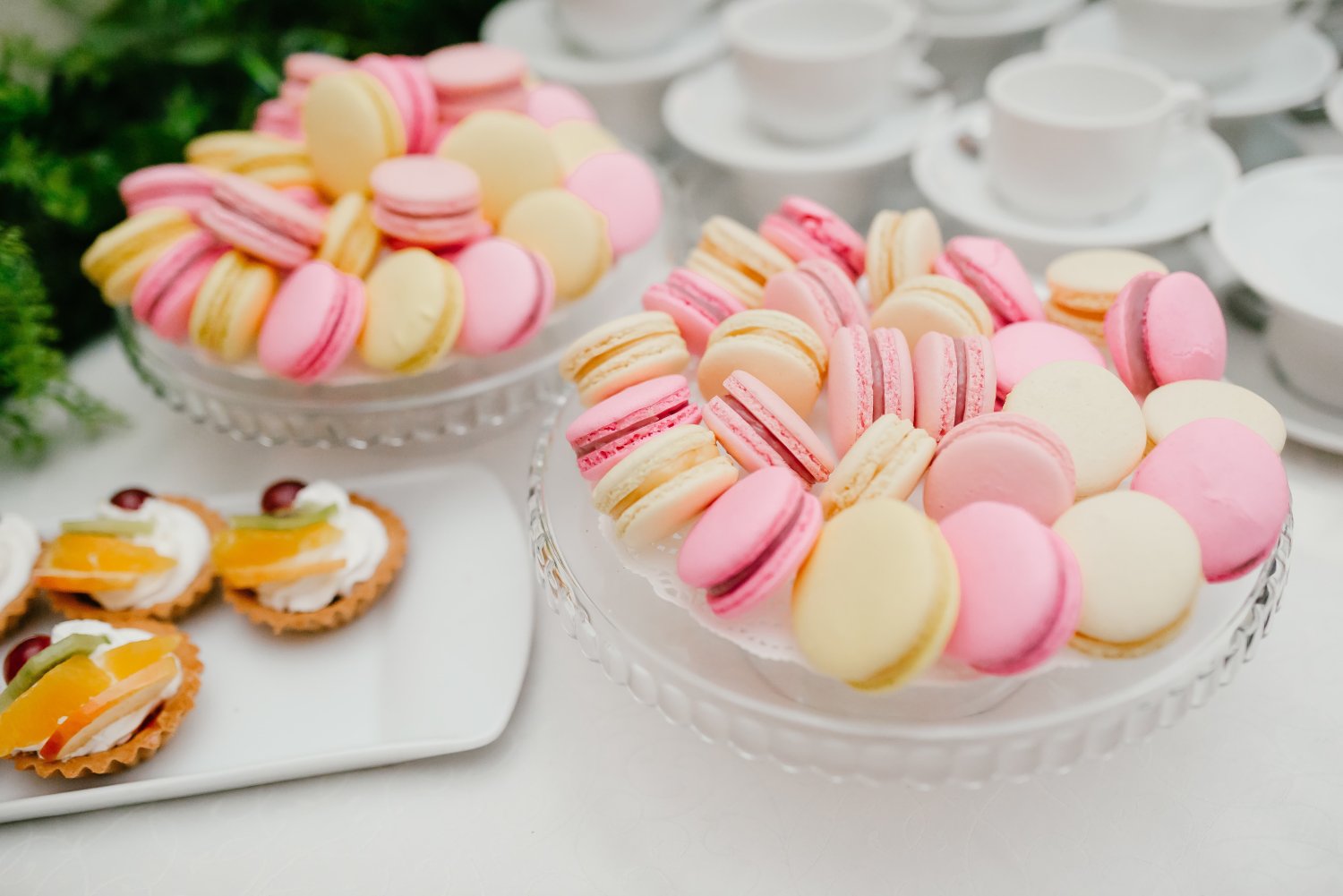 Банкет-холл&nbsp;СПА-Отель «Мелиот» : 