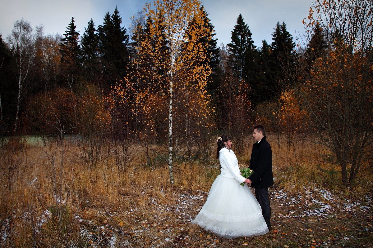 Портфолио&nbsp;Фотограф Ника Горбова : 