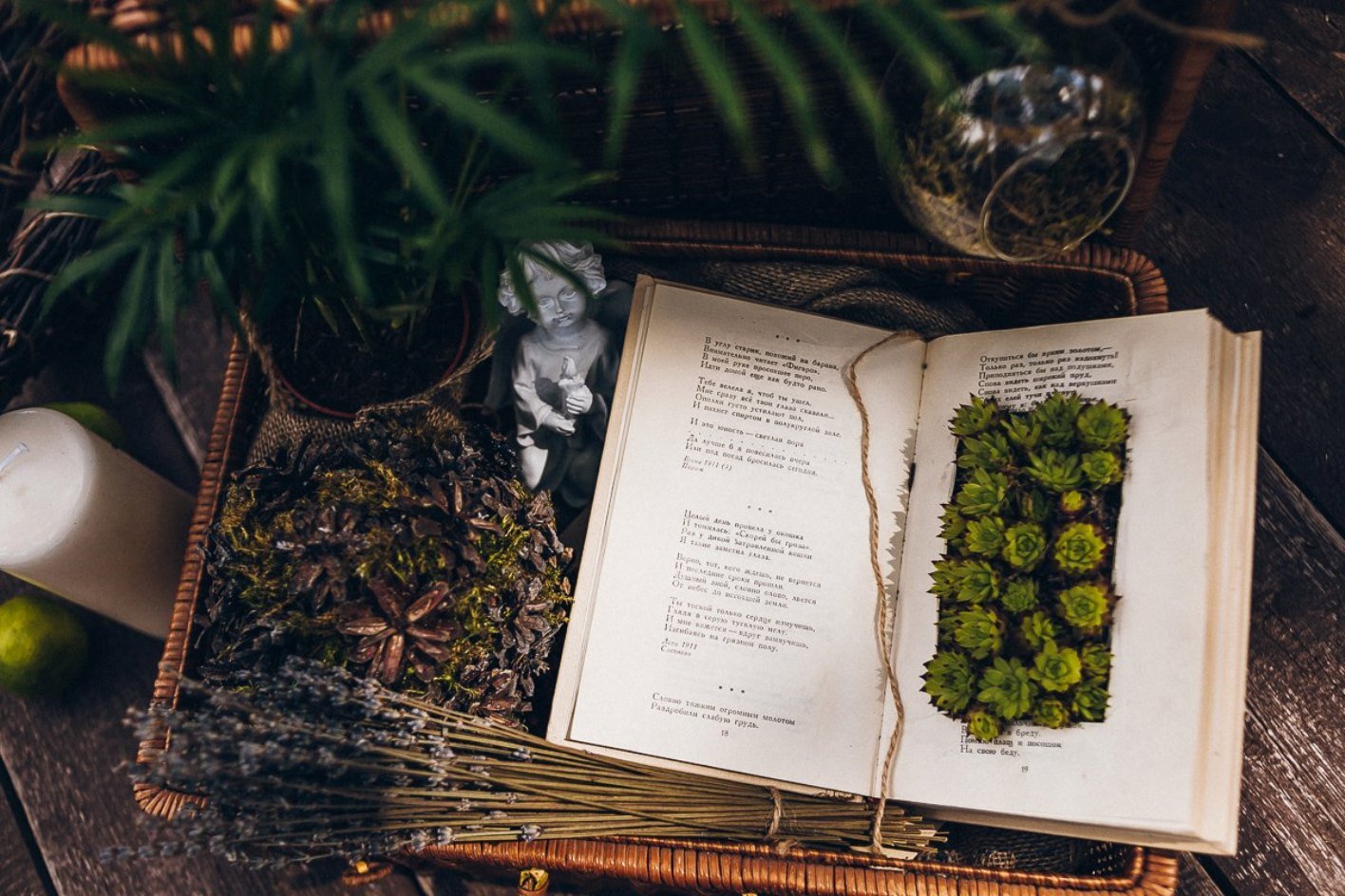 3SREd1J_IVU.jpg – Концептуальный бутик «ЭкоМаркет» | Декораторы / Оформители на свадьбу, букет невесты, флористы, салоны цветов - 1 из 18