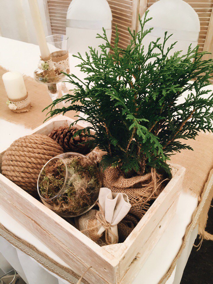 hpoB-HalMDo.jpg – Концептуальный бутик «ЭкоМаркет» | Декораторы / Оформители на свадьбу, букет невесты, флористы, салоны цветов - 1 из 6