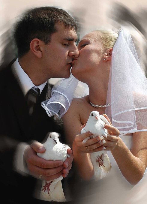 фотографии&nbsp;Свадебная фотостудия : 