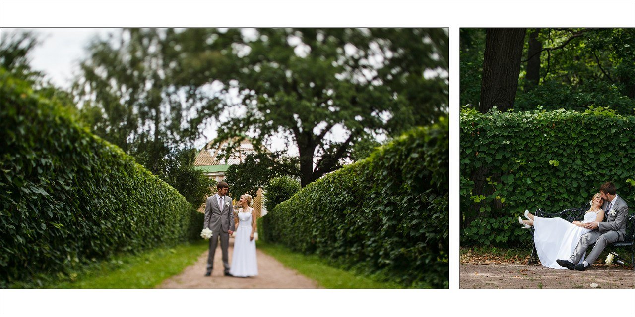 Свадьбы&nbsp;Светлана Оболонкова : 