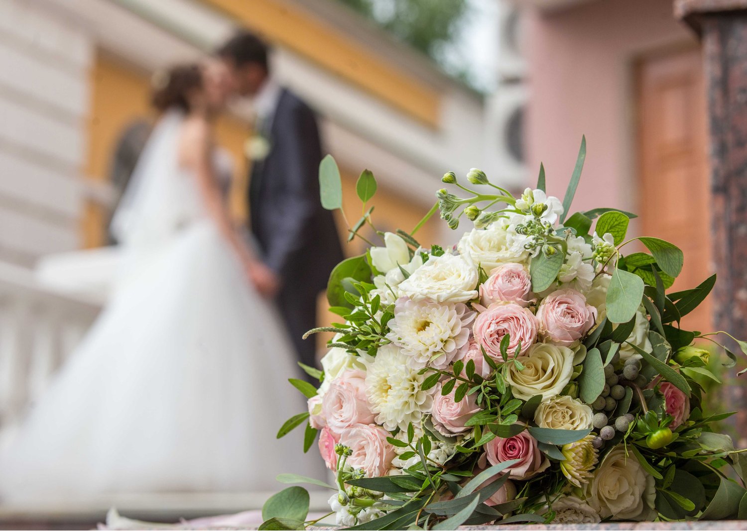 свадьба&nbsp;Art cinema : 