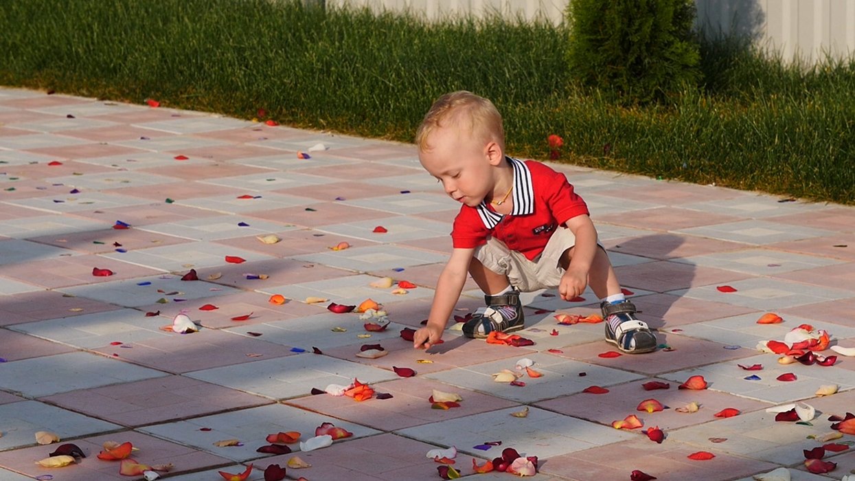 Интересные моменты со свадеб&nbsp;Видеограф Елена Киселева : 