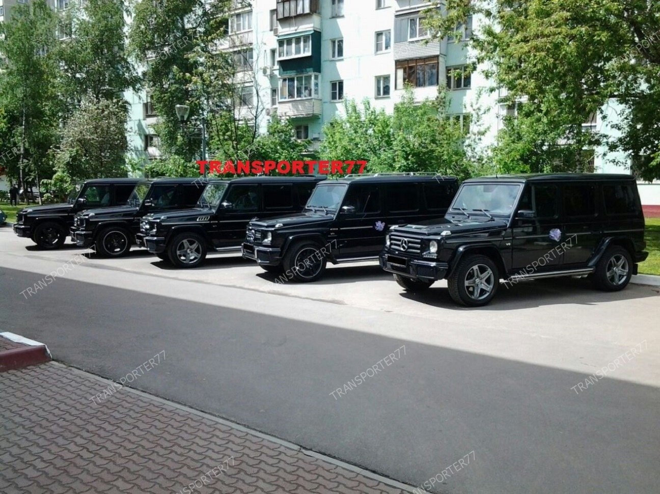 Мерседес Гелендваген с водителем на свадьбу&nbsp;Transporter77 : 