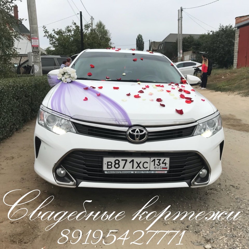 Свадебные кортежи,микроавтобусы и украшения&nbsp;Авто-Прокат34 Свадебные кортежи : 