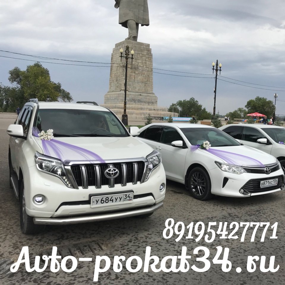 Свадебные кортежи,микроавтобусы и украшения&nbsp;Авто-Прокат34 Свадебные кортежи : 