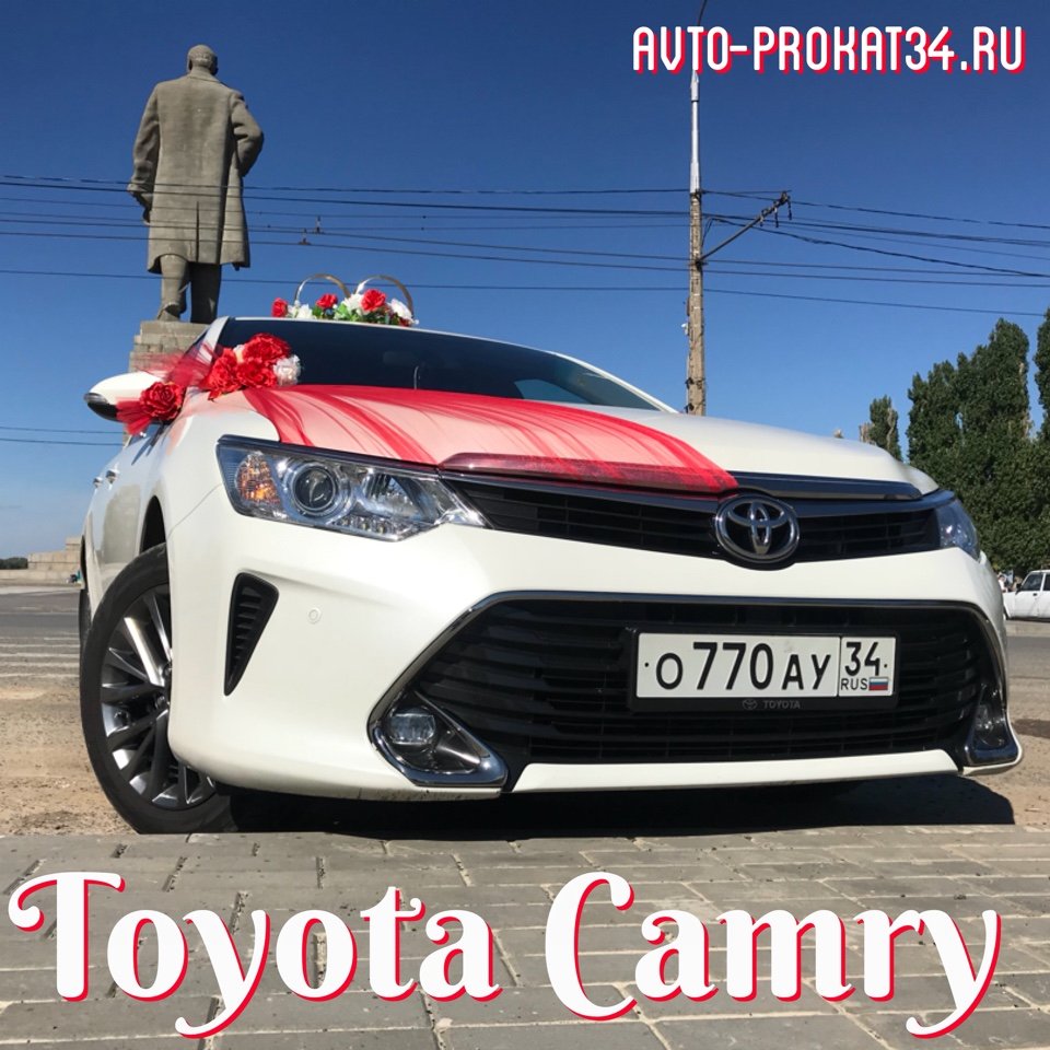 Свадебные кортежи,микроавтобусы и украшения&nbsp;Авто-Прокат34 Свадебные кортежи : 