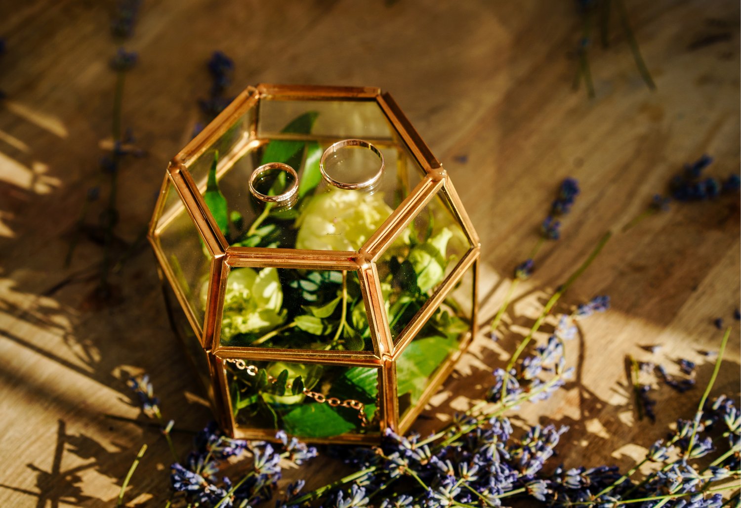 Портфолио&nbsp;Black Sea : 